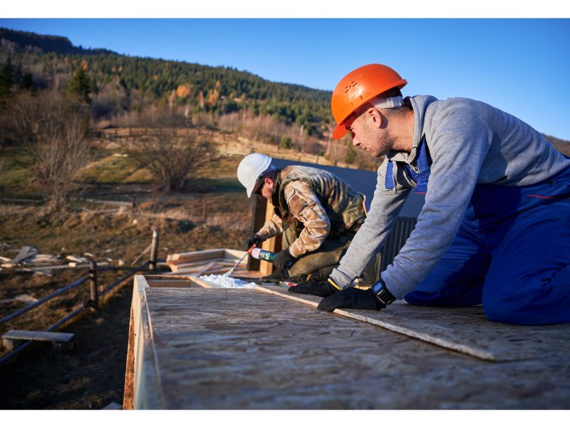 Professional roof inspection